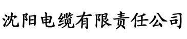 首映影院电缆厂logo